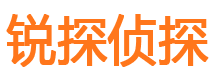 回民侦探公司